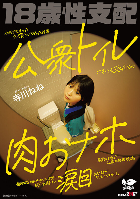 SNSで出会ったクズ男にハマった結果、公衆トイレでさくっとヌくための肉おナホ要員にされた18歳の記録映像。最終的に都合のいいように扱われ続けて涙目になるまでマワしつくされる。 寺川ねね寺川ねね