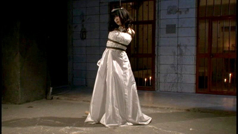 敗戦国の女3 落城家畜姫 肛門産卵くいこみ乳虐刑 愛代さやか愛代さやか