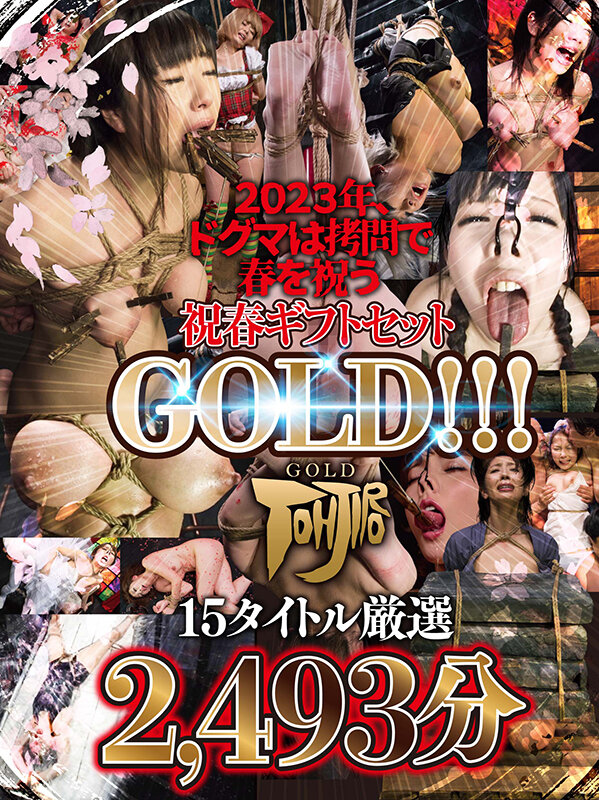 【祝春ギフト】2023年、ドグマは拷問で春を祝う 祝春ギフトセットGOLD！！！ 15タイトル厳選 2493分野中あんり・美咲結衣・樹花凜（七咲楓花）