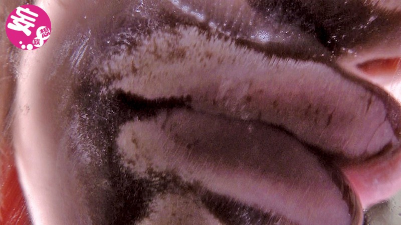 ヴァーチャルべろチュウ Lesbian Kiss春日部このは・久我かのん・柊木なな（葉山美空）