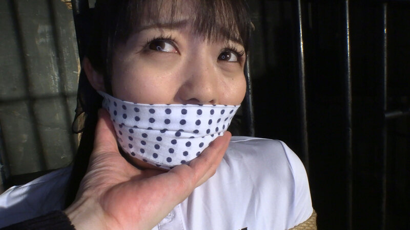 囚われの緊縛令嬢 DIDコレクション3泉りおん・有加里ののか・宇流木さらら