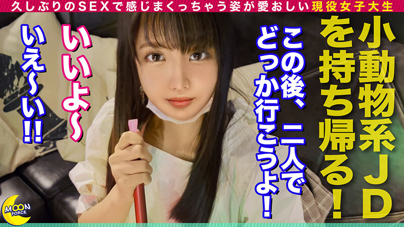 MOON FORCE CHEERS ぱこぱこしろうとコレクション。 vol.56堀沢茉由・NAOO・斎藤あみり