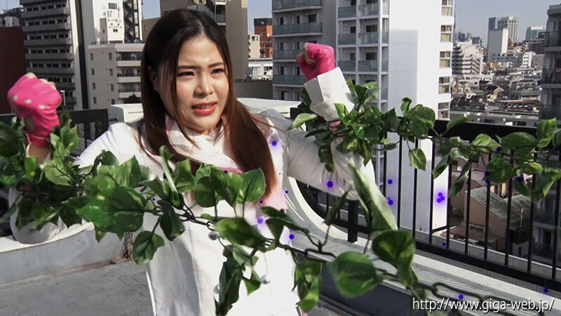 電撃戦隊パーフェクトレンジャー2009 REMAKE 蘇ったサタンクロス 花宮レイ花宮レイ