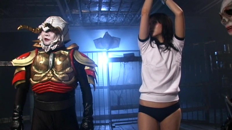 未来忍者隊ファイバード スワンファイター水無月レイラ