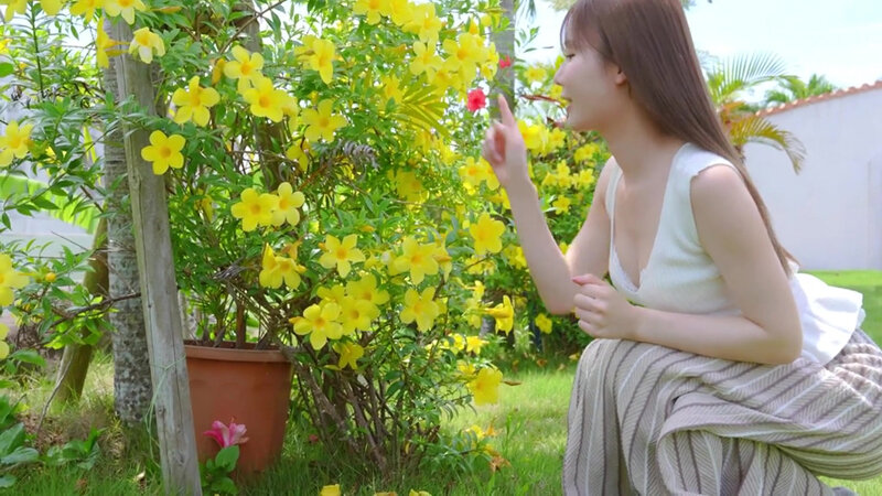 Miru7 Shining Legend・mirumiru