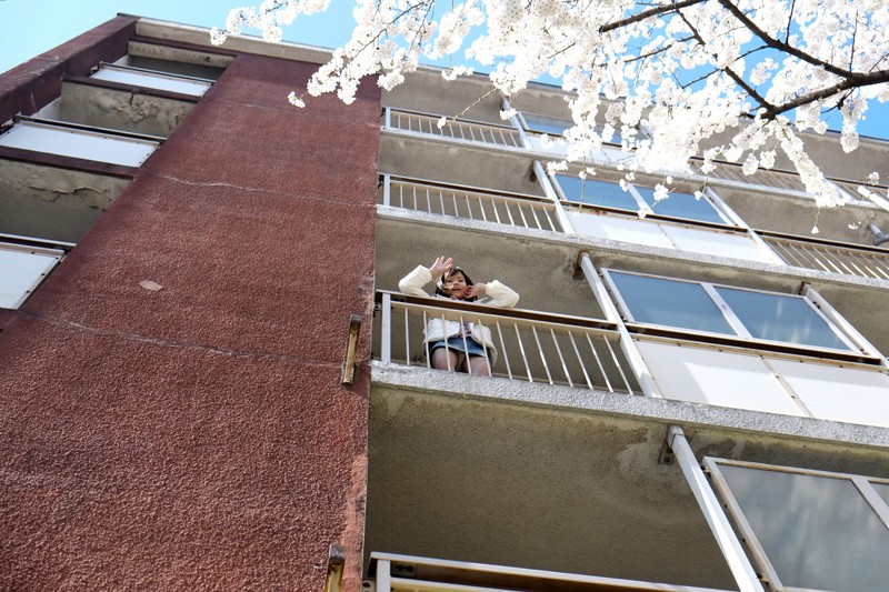 加賀美シュナちゃん ふぁーすとすたープレミアムベスト8時間ベスト加賀美シュナ