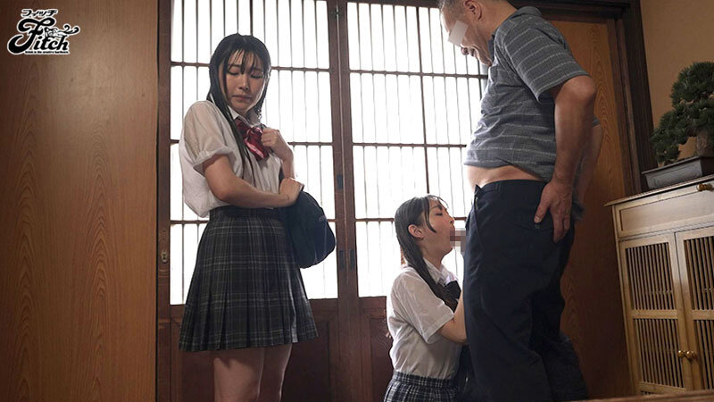 オヤジのハメ撮りドキュメント ねっとり濃厚に貪り尽くす体液ドロドロ汗だく性交 望月つぼみ 皆月ひかる望月つぼみ・皆月ひかる