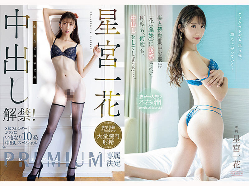 星宮一花 プレミアム完全収録PERFECTベスト12時間星宮一花