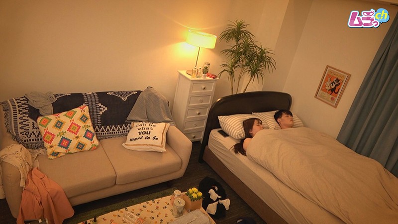 発情カップルの日常音羽るい