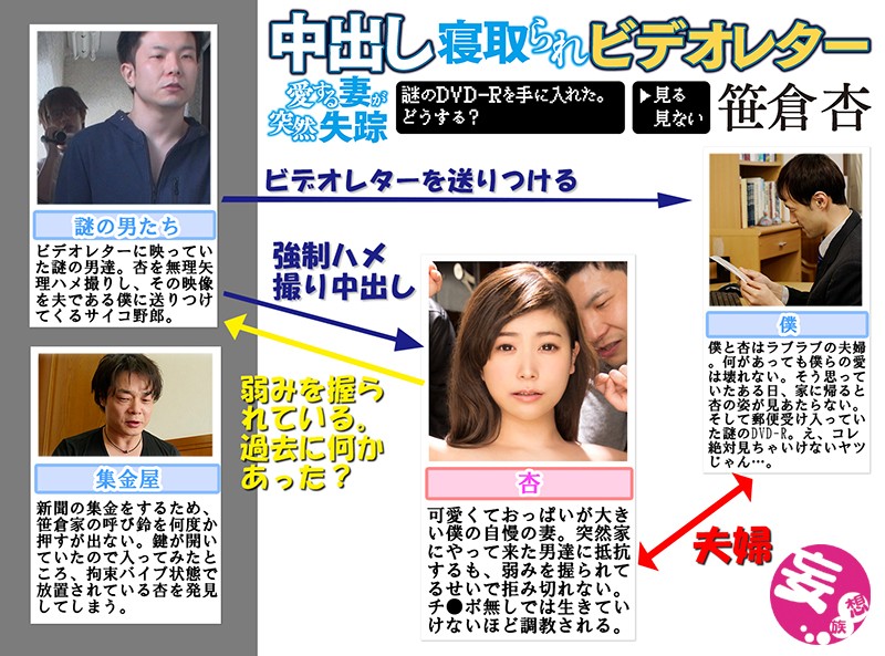 中出し寝取られビデオレター 愛する妻が突然失踪 謎のDVD-Rを手に入れた。どうする？→見る 見ない 笹倉杏笹倉杏