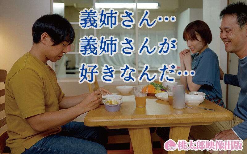 兄の嫁 歪んだ愛憎の矛先はお義姉さん 復讐編 一ノ瀬はずき一ノ瀬はずき