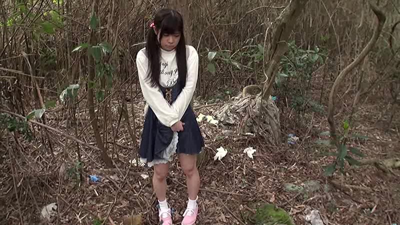 少女野外強●わいせつ映像