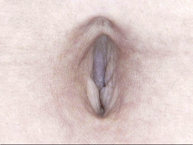 100人のへそ 第7集