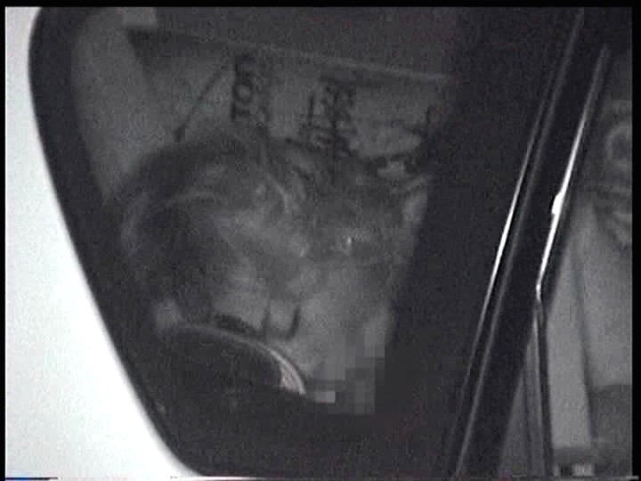 「赤外線盗撮シリーズ」Vol.6 CAR SEX