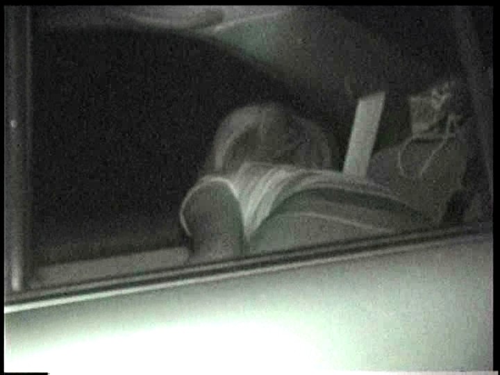 「赤外線盗撮シリーズ」Vol.12 CAR SEX