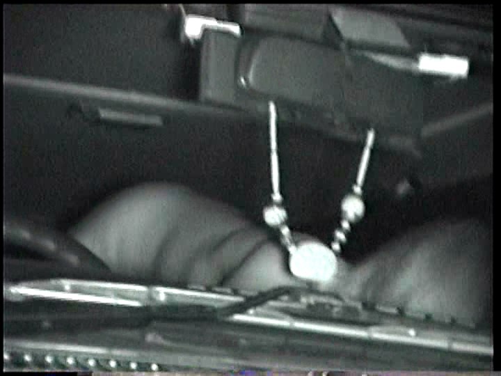 「赤外線盗撮シリーズ」Vol.18 CAR SEX