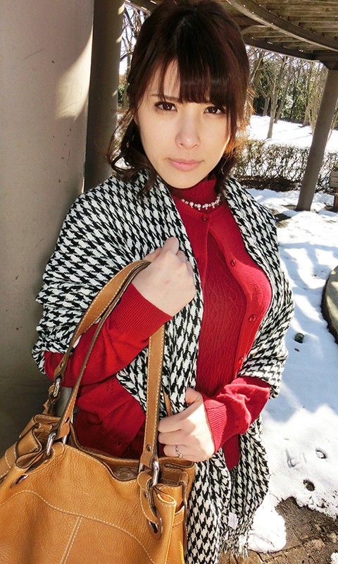 SEX中毒の変態妻 笹崎怜美笹崎怜美