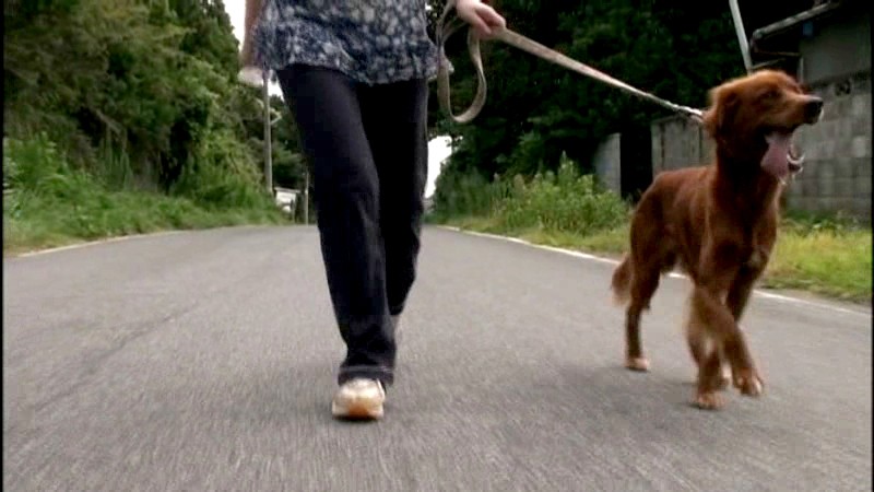 不貞妻たちの あ～駄目いっちゃう～ 亭主以外の男と味わうこの世の天国浅井舞香・大沢萌・今井ゆり