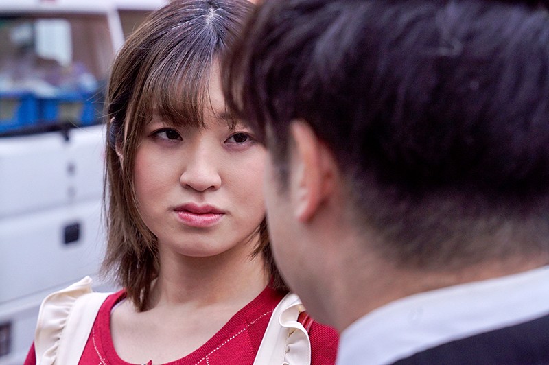 夫の不正で揺すられ貞操を汚された新米主婦 宮森みすず宮森みすず