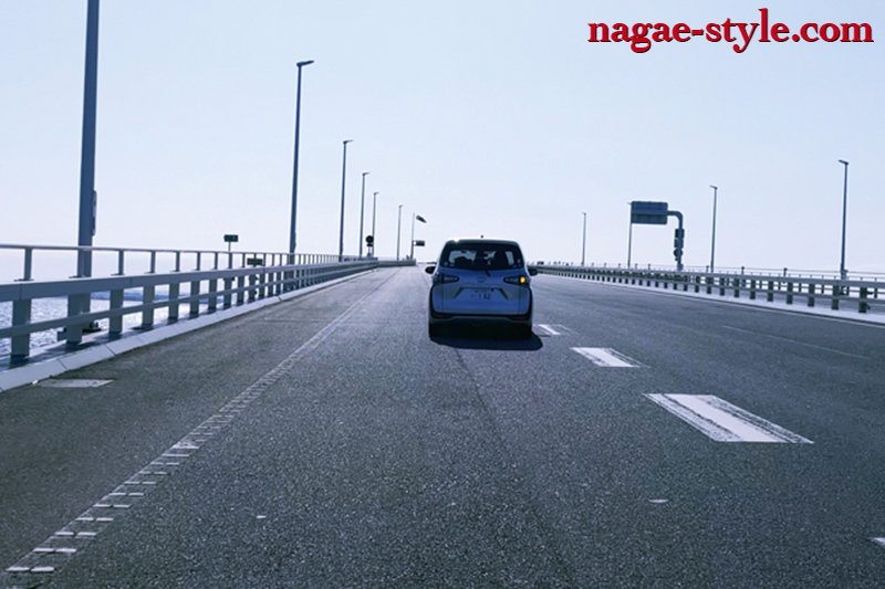 投稿実話 妻がまわされた14 ～夫婦に起こった二度目の悲劇～ 葵百合香葵百合香